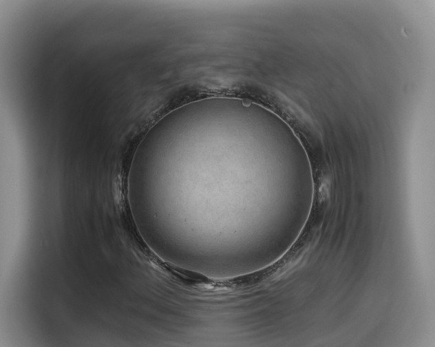 X0000114561156200910191426