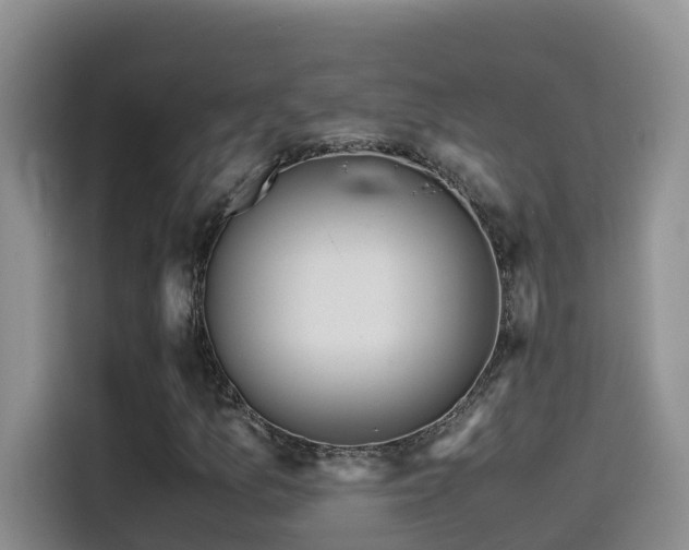 X0000114561157200910191426