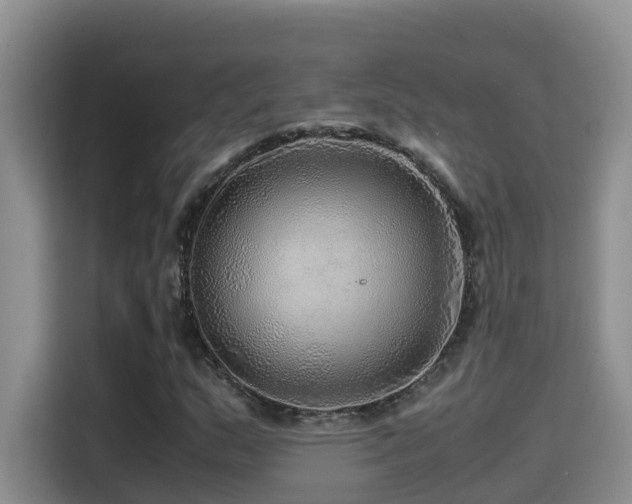 X0000114561159200910191426