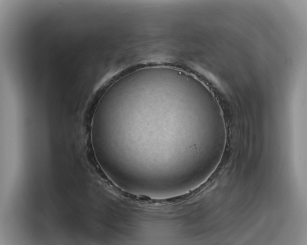 X0000114561160200910191425