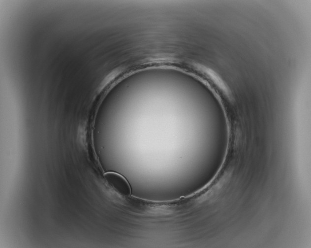 X0000114561162200910191425