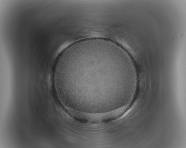 X0000114561163200910191425
