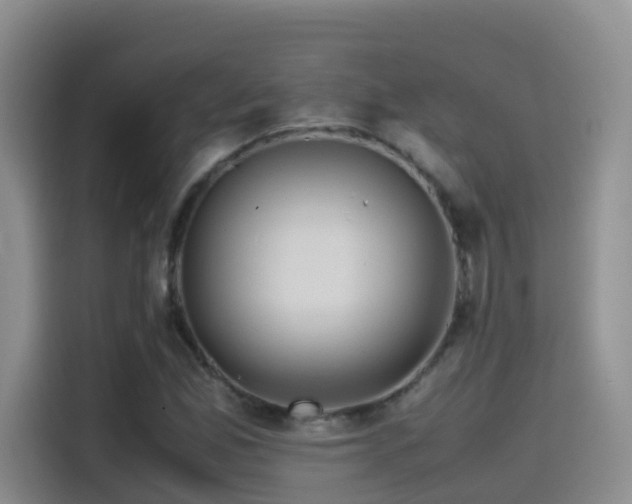 X0000114561165200910191425