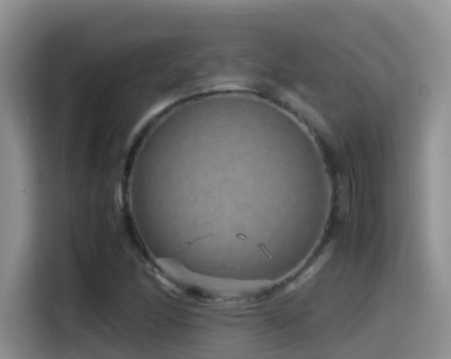 X0000114561166200910191425