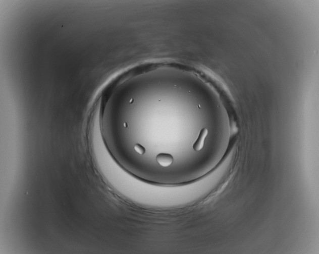 X0000114561167200910191425