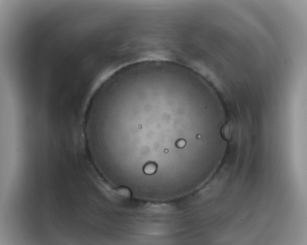 X0000114561168200910191425