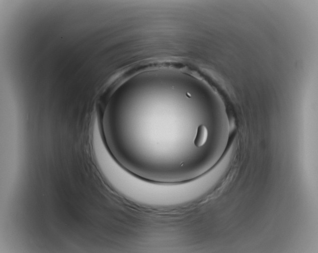 X0000114561169200910191425