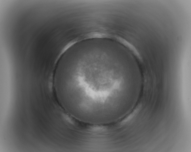 X0000114561170200910191425