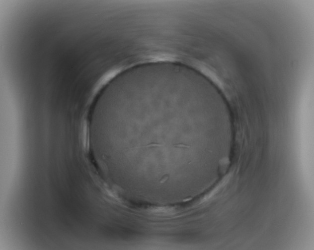 X0000114561171200910191425