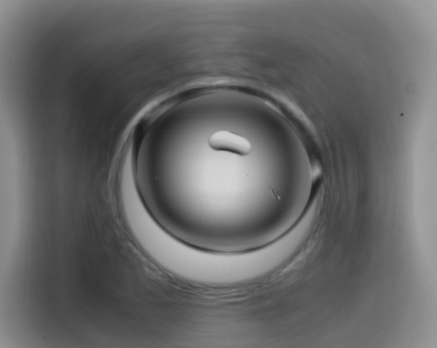 X0000114561173200910191425