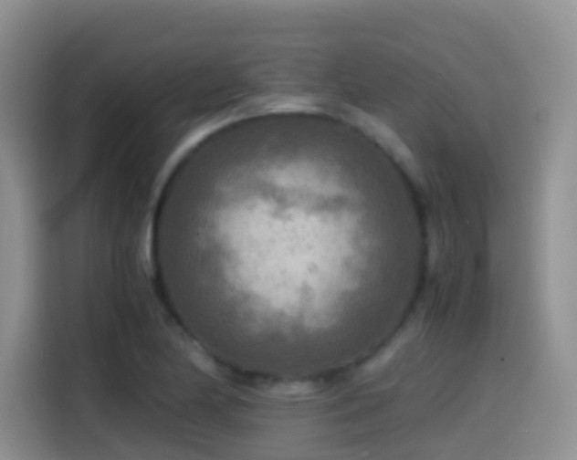 X0000114561174200910191425