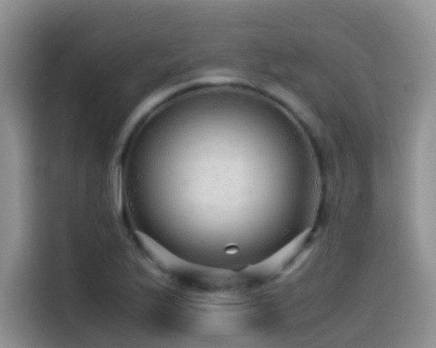 X0000114561175200910191425