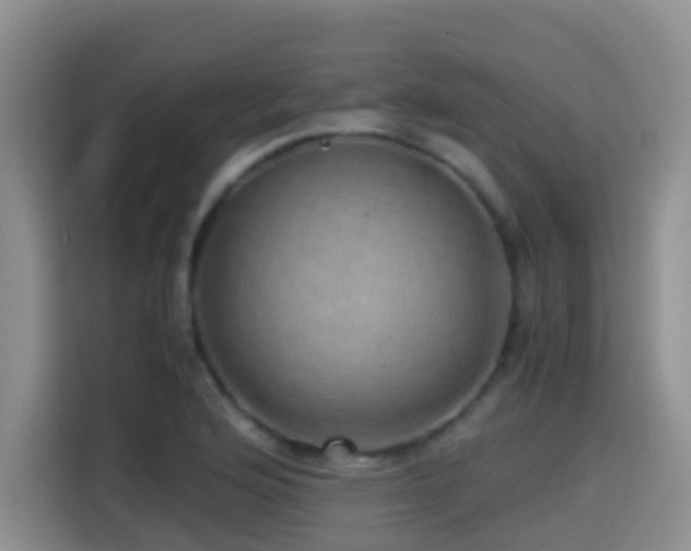 X0000114561176200910191425