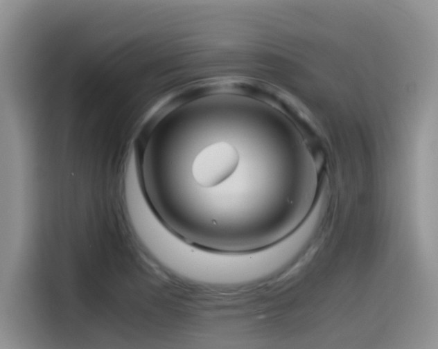 X0000114561177200910191425