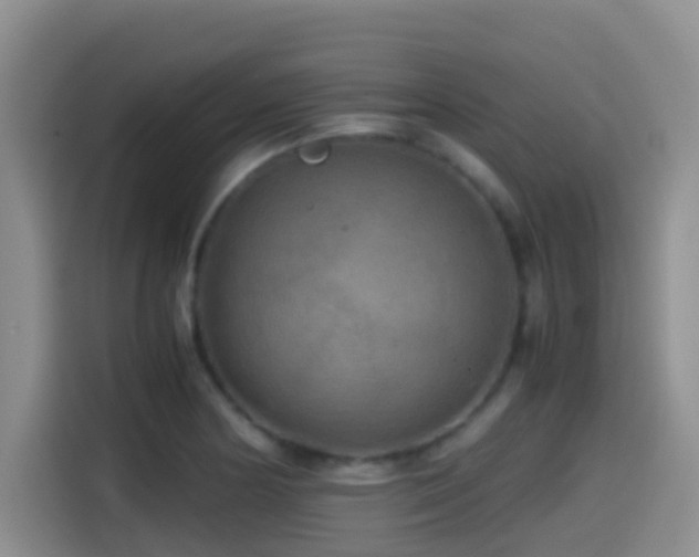 X0000114561178200910191425