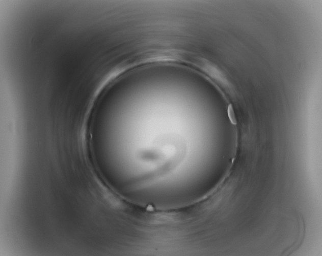 X0000114561181200910191425