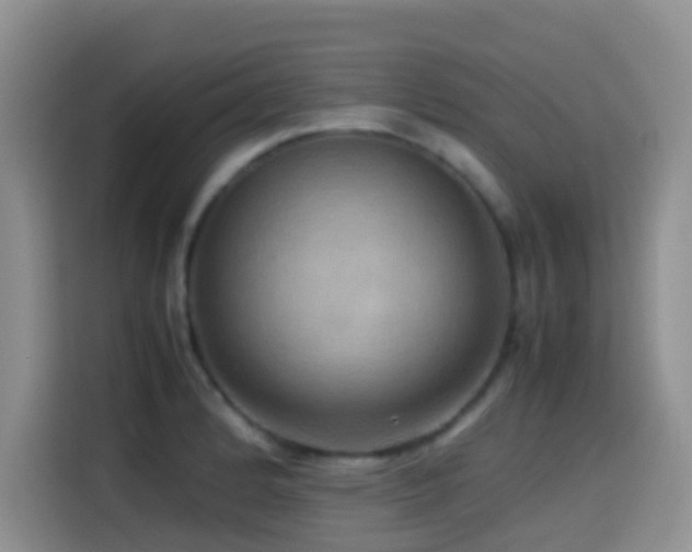 X0000114561184200910191425