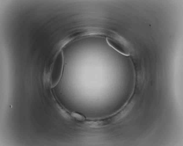 X0000114561185200910191425