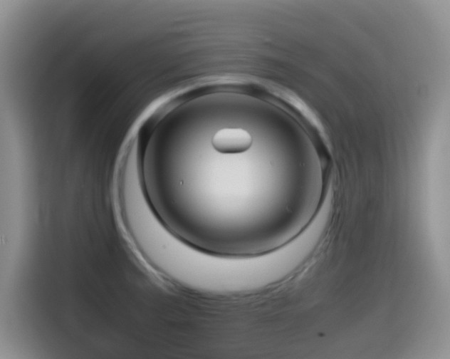 X0000114561187200910191425