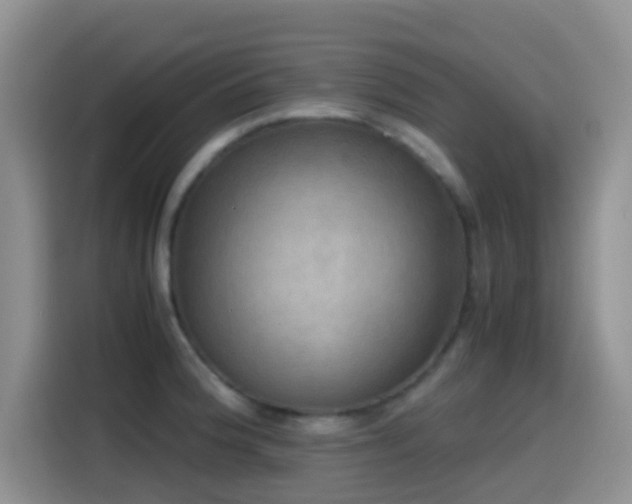 X0000114561188200910191425