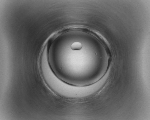 X0000114561189200910191425