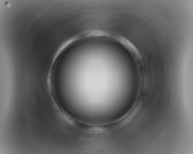 X0000114561190200910191425