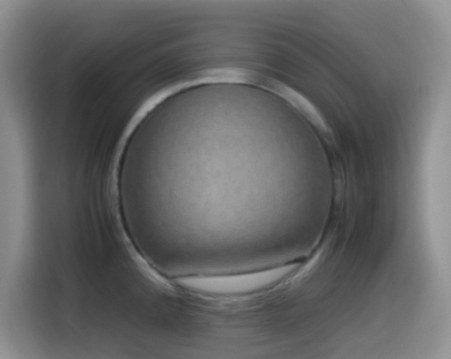 X0000114561192200910191425
