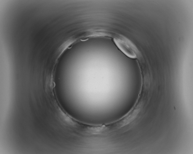 X0000114561193200910191425
