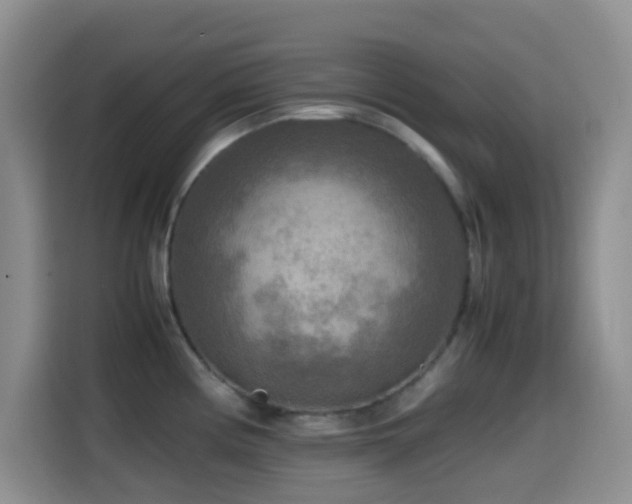 X0000114561194200910191425