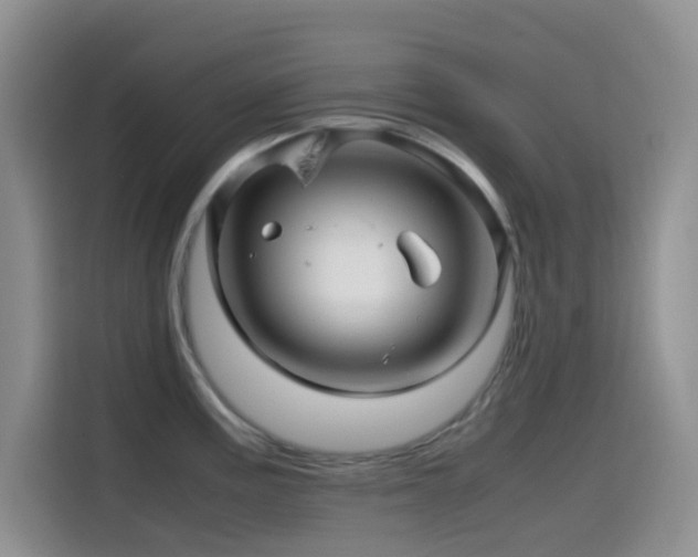 X0000114561195200910191425