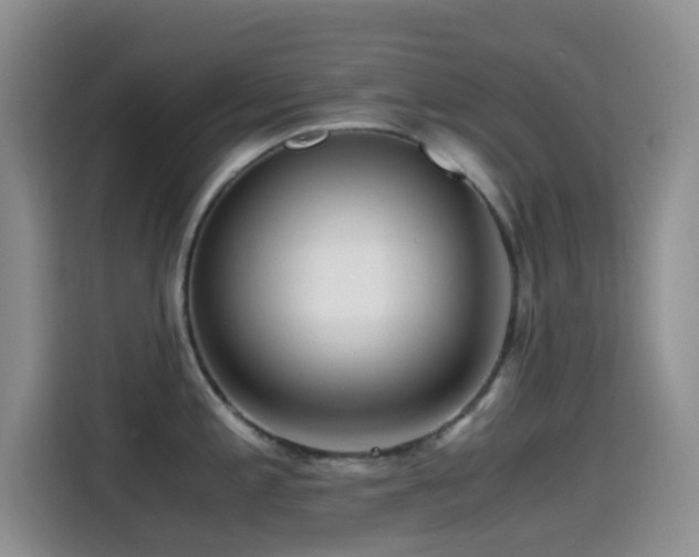 X0000114561197200910191425