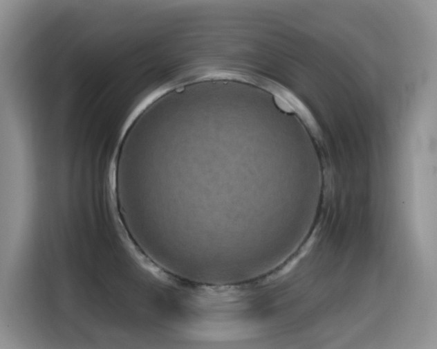 X0000114561198200910191425
