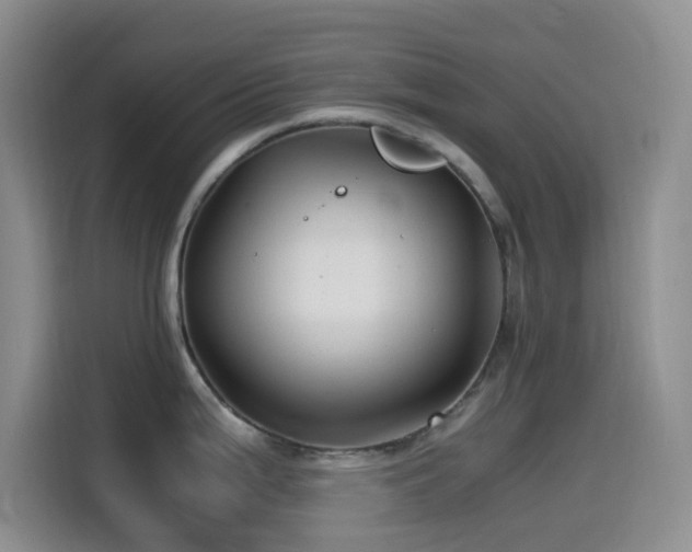 X0000114561199200910191425
