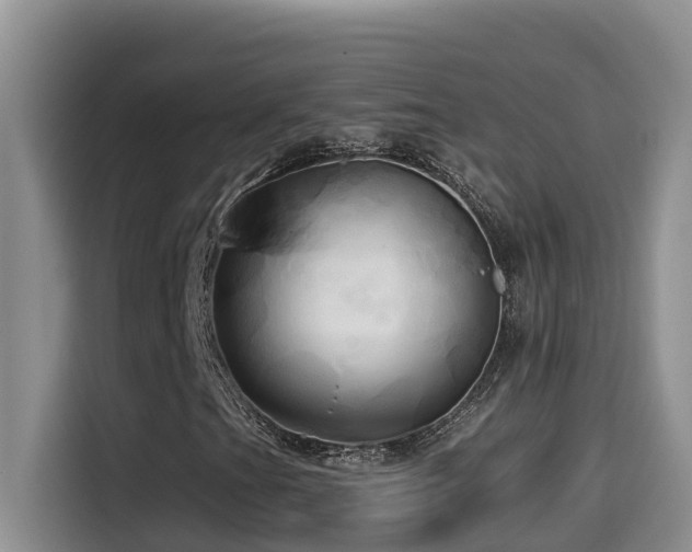 X0000114561201200910191424