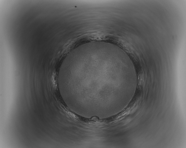 X0000114561202200910191424