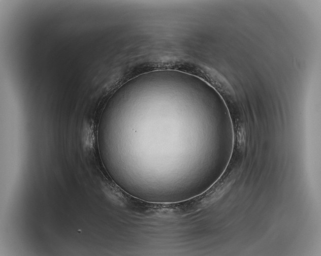 X0000114561204200910191424