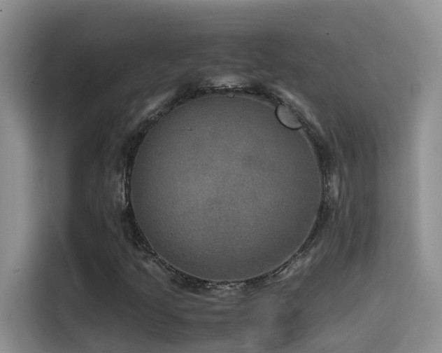 X0000114561205200910191424