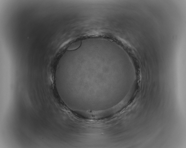 X0000114561206200910191424