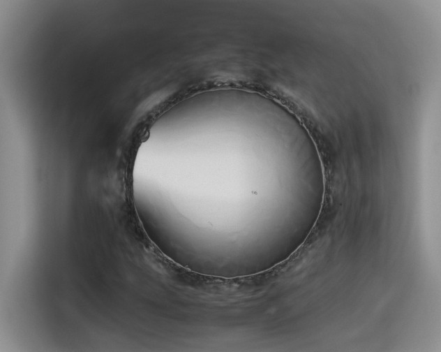 X0000114561207200910191424