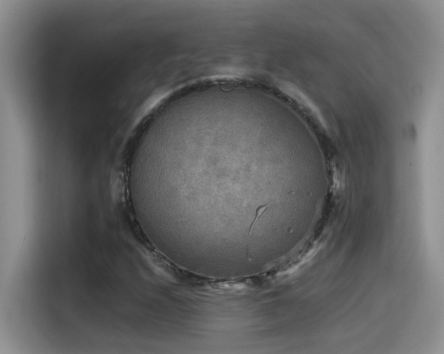 X0000114561208200910191424
