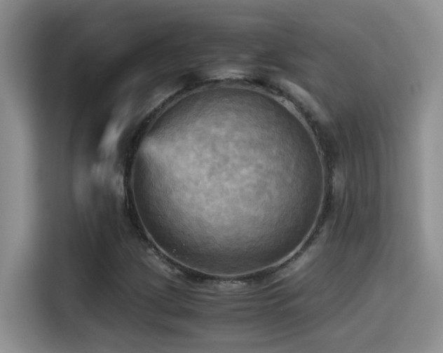 X0000114561209200910191424