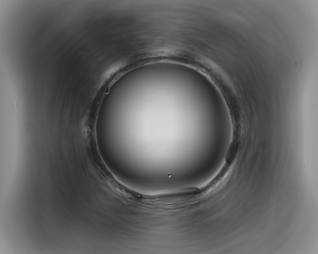 X0000114561210200910191424