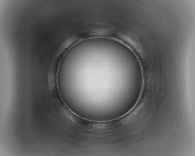 X0000114561211200910191424