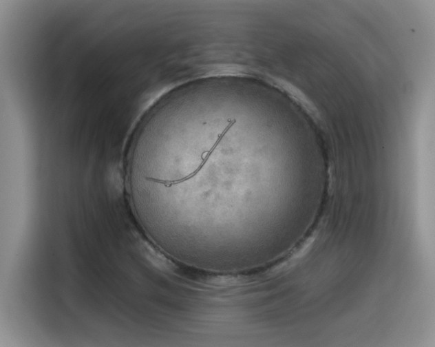 X0000114561212200910191424
