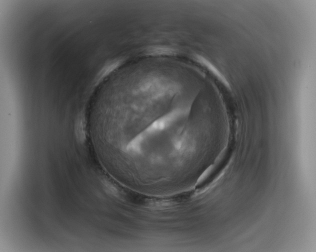 X0000114561213200910191425