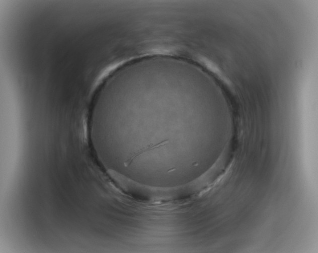 X0000114561214200910191425