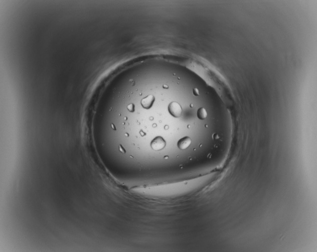 X0000114561215200910191425