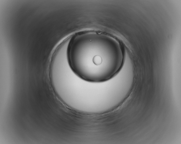 X0000114561216200910191425