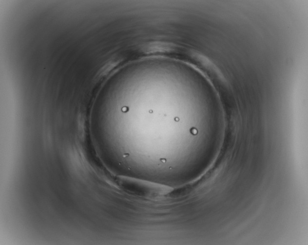 X0000114561217200910191425