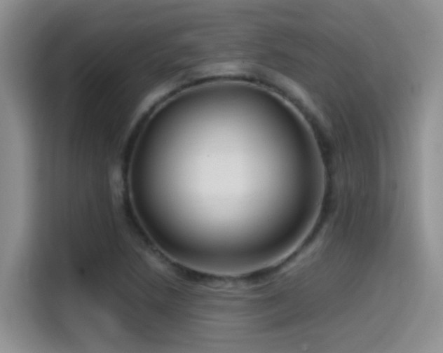 X0000114561218200910191425